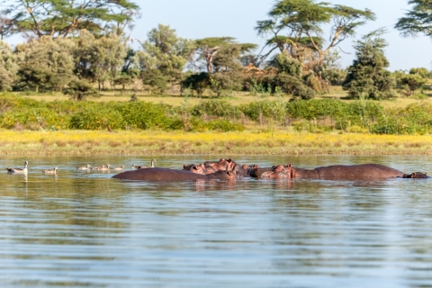 Jednodniowa wycieczka do Parku Narodowego Jeziora NakuruPark Narodowy Jeziora Nakuru