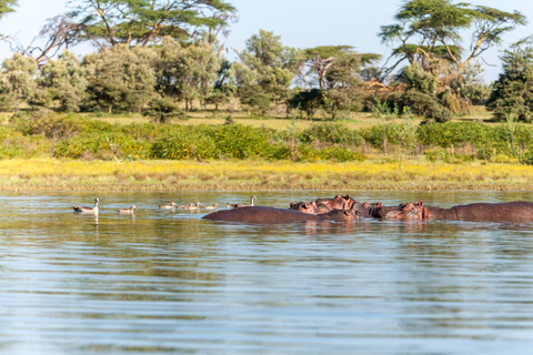 Jednodniowa wycieczka do Parku Narodowego Jeziora NakuruPark Narodowy Jeziora Nakuru