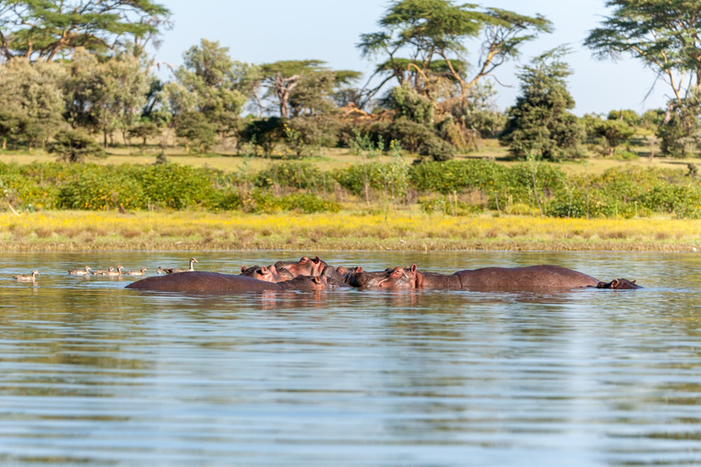 Jednodniowa wycieczka do Parku Narodowego Jeziora NakuruPark Narodowy Jeziora Nakuru