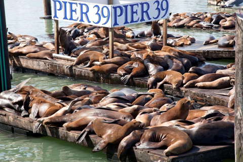 San Francisco: Combo de tour por la ciudad y entrada a AlcatrazTicket combinado para un tour de la ciudad y Alcatraz
