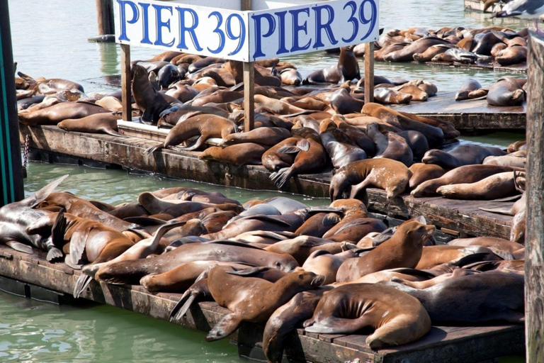 San Francisco: Combo de tour por la ciudad y entrada a AlcatrazTicket combinado para un tour de la ciudad y Alcatraz