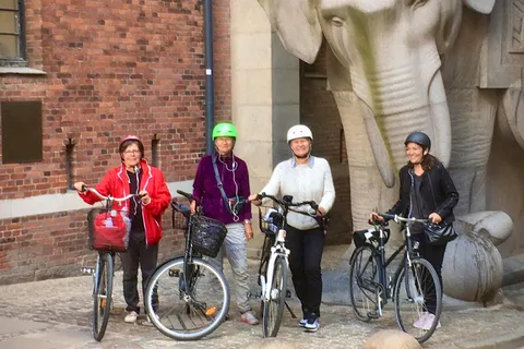 Copenhague : 2,5 heures de visite guidée à vélo avec un guide local