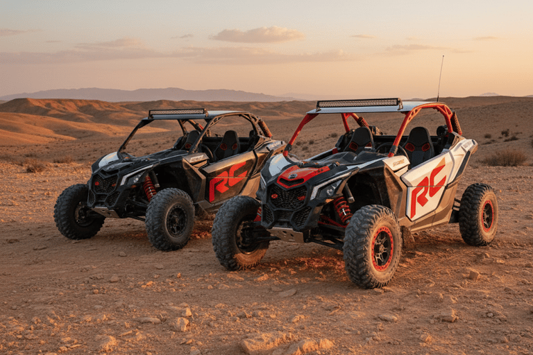Marrakech: Agafay Dinner Show, , Quad, or Buggy Marrakech: Agafay Dinner Show, 1h buggy & Camel Ride,