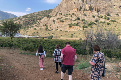 One-Day Tour with Wine & Food Tasting Arcadia, Greece