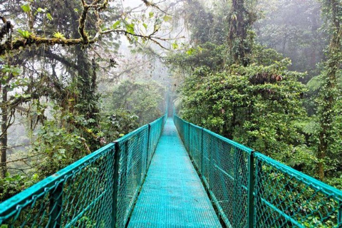 De San José: Tour particular de um dia pela Floresta Tropical de Monteverde