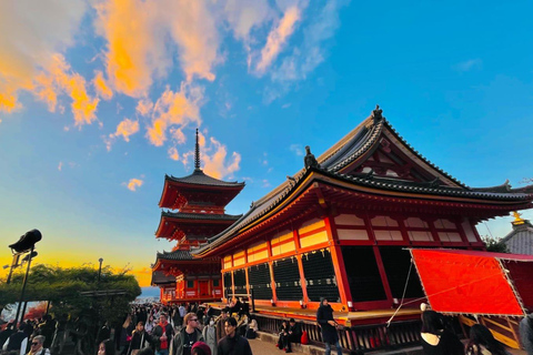 Kyoto: Private guided Tour with English speaking guide