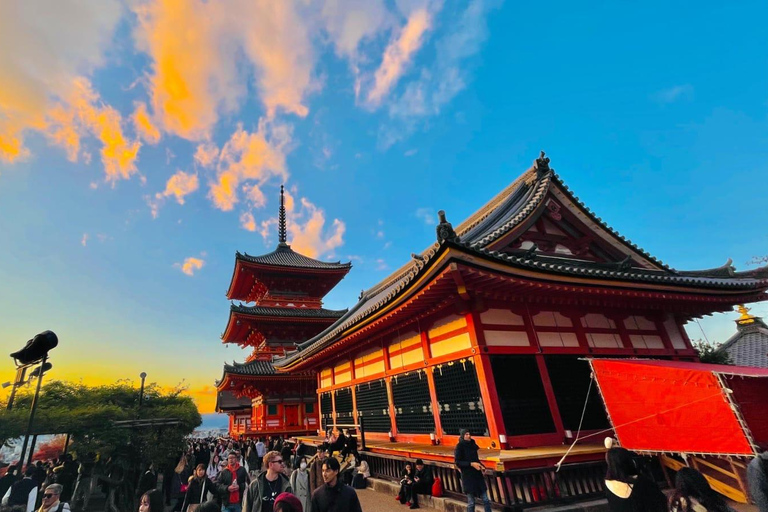 Kyoto: Private guided Tour with English speaking guide