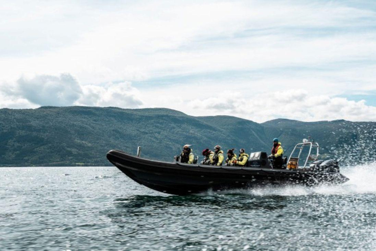 Balestrand: Fjord Sightseeing by Fast Boat