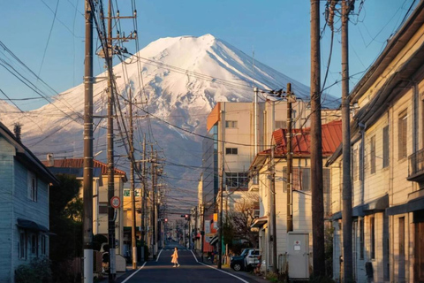 Tokio: Mt. Fuji &amp; Kawaguchi See Instagram TagestourVon Tokio aus: Berg Fuji und Oshino Hakkai Familienspaß-Tour