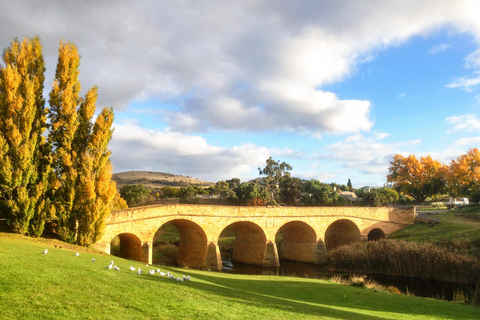 Tasmania: (New tour) 6-Day Small Group Nature-based TourMotel Double Room