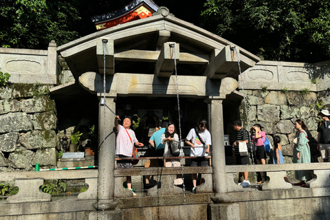 Kyoto: Gion Highlights & Hidden Treasures Guided Tour Group Tour