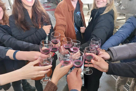 Tbilisi: Kakheti Wine Region Tour Sighnaghi, Bodbe & Alazani Guided Tour with Wine Tastings