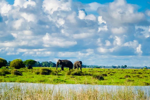 Pottuvil Lagoon Eco Tour : Mangrove Adventure in Arugam Bay