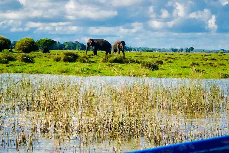 Pottuvil Lagoon Eco Tour : Mangrove Adventure in Arugam Bay