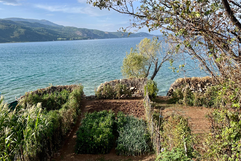 地拉那：埃尔巴桑堡垒、林村和奥赫里德湖之旅