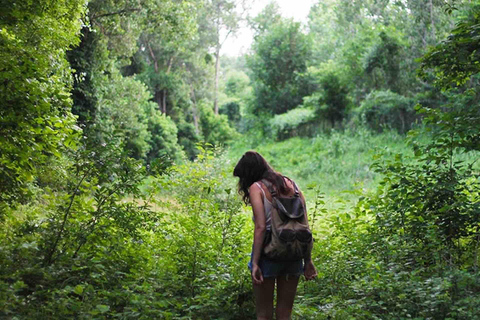 Panama City: Portobelo Jungle, Reef & Venas Azules Tour