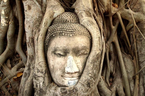 Niesamowita wycieczka do starożytnej świątyni AyutthayaWyrusz z Khaosan Road