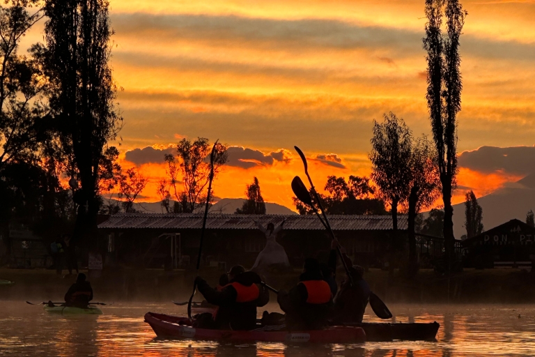 Xochimilco en Kayaks