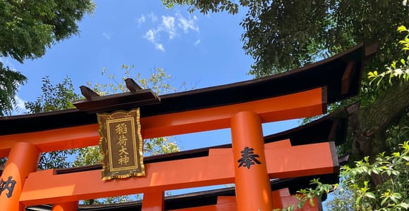 From Osaka: Kyoto Private Tour with a licensed guide
