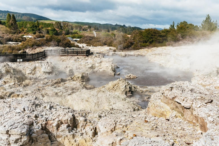 Nouvelle-Zélande : Hells Gate, bain de boue et spa