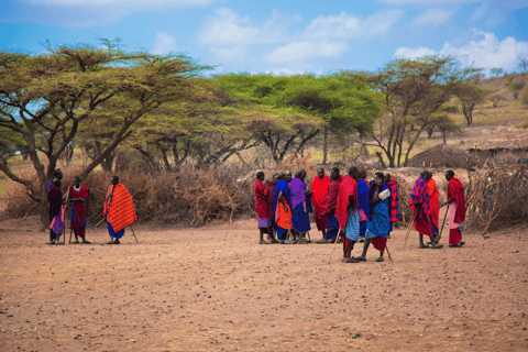 From Moshi: Maasai Village Tour with Lunch & Walking Safari