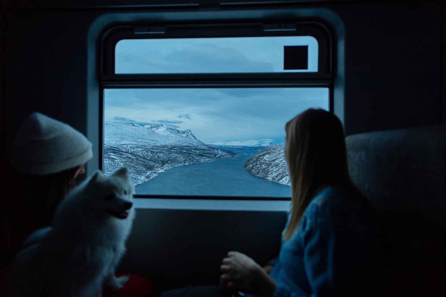 Da Narvik: Viaggio Andata e Ritorno sul Treno Artico Ofoten