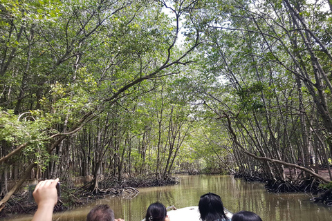 Från Ho Chi Minh: Can Gio Mangroveskog &amp; Monkey Island