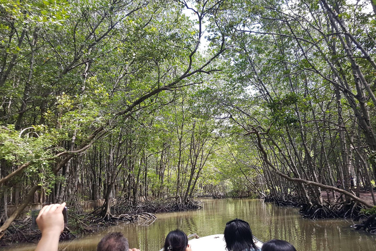 Au départ de Ho Chi Minh Ville : Visite en groupe de la forêt de mangroves de Can Gio