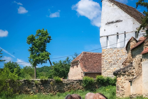 Saxon Villages Tour: Viscri, Rupea Fortress, Criț & Saschiz