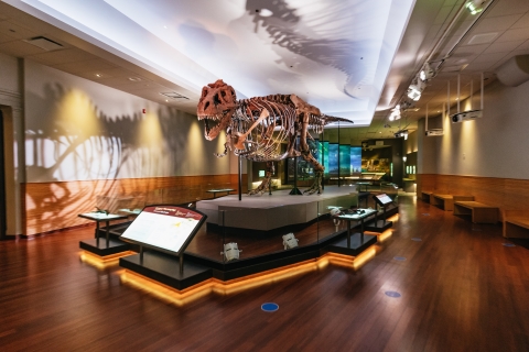 Chicago : billet pour le Field Museum of Natural History ou visite VIPBillet d'entrée au musée Discovery Pass