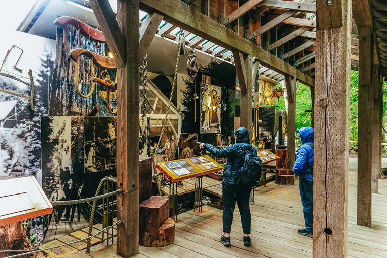 Visita di Vancouver e del Ponte Sospeso di Capilano: Mezza giornataTour di Natale: Luci del Canyon di Capilano