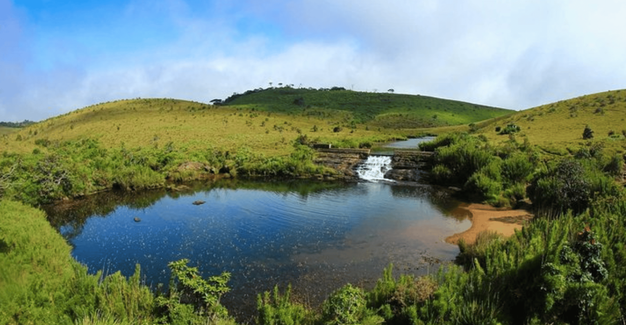 Comprehensive Excursion, Horton Plains and Pedro Tea Factory - Housity