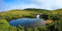 Comprehensive Excursion, Horton Plains and Pedro Tea Factory - Housity
