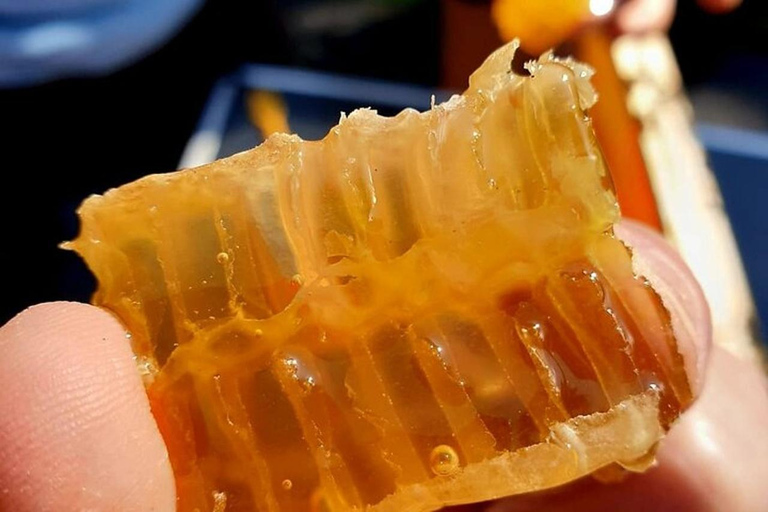São Miguel: Beekeeping, Honey Tasting & Candle Experience