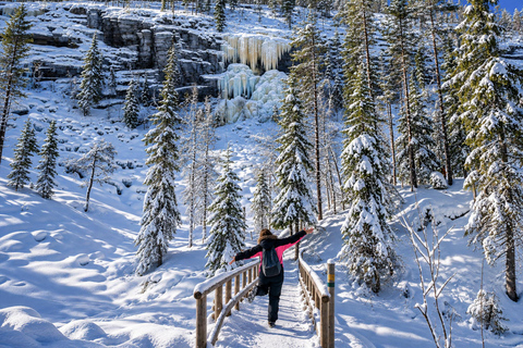 Rovaniemi: Korouoma Canyon & Frozen Waterfalls Tour ⭐ Korouoma Premium | 7h | Small Group | BBQ & Photos