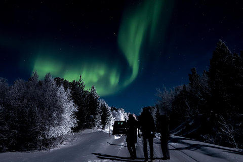 Saariselkä,Kakslauttanen: Aurora Hunting & Photography Tour. Private Aurora Hunting & Photography Tour By Minivan