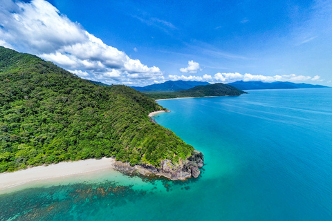 Port Douglas: Cape Tribulation Private Rainforest Tour