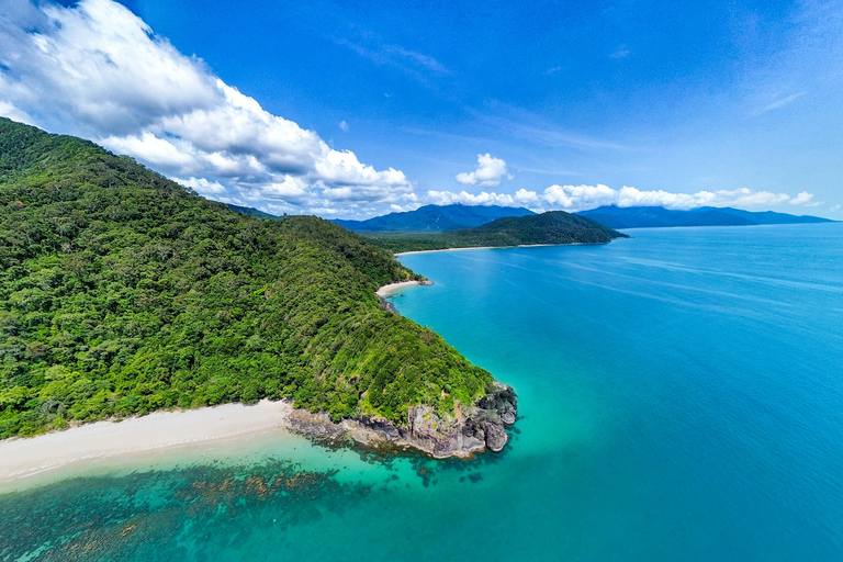 Port Douglas: Cape Tribulation Private Rainforest Tour
