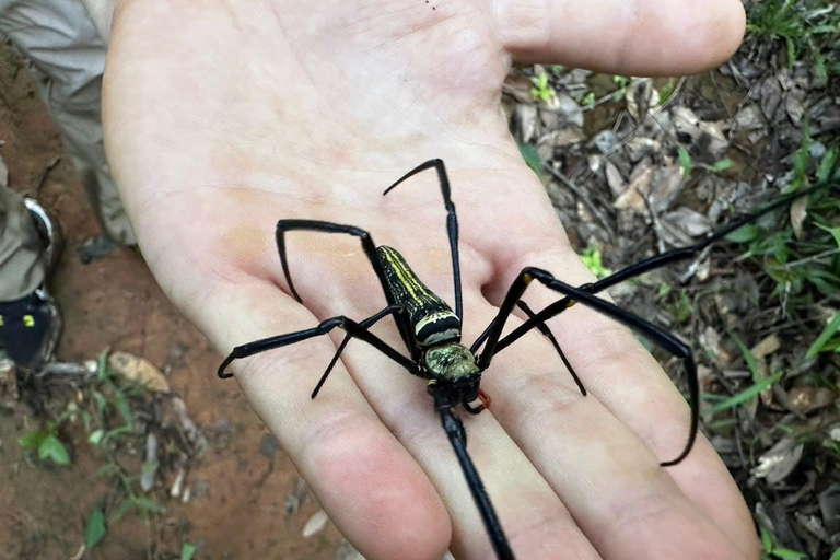 Chiang Mai: 3Days 2Night Trek in Doi Inthanon Area