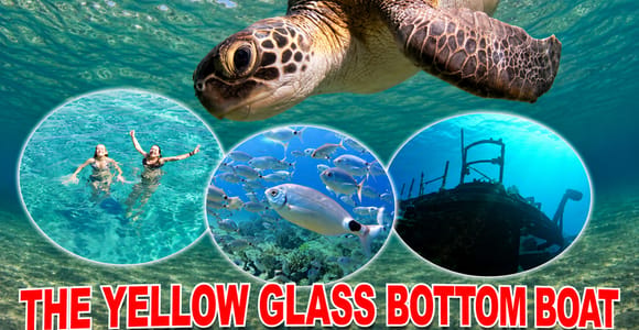 Paphos: The Yellow Glass-Bottom Boat Cruise Swim & Snorkel