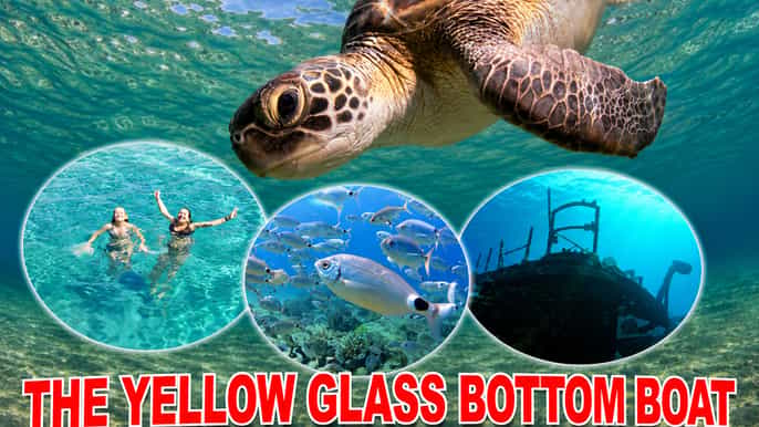 Paphos: Cruzeiro em barco com fundo de vidro amarelo, mergulho e snorkeling