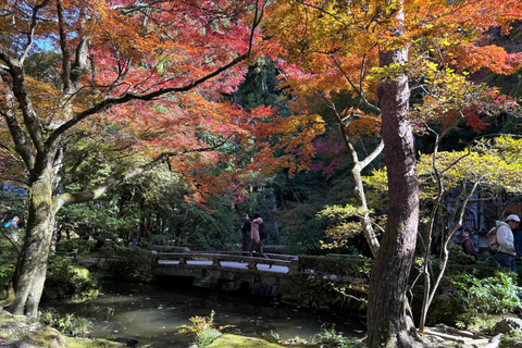 Kyoto: Higashiyama Premium E-Bike Tour with guide