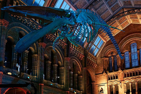 Discover London's Natural Wonders: Museum Expedition