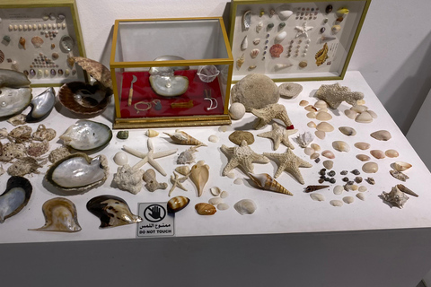 Doha: Wycieczka po mieście z przewodnikiem i rejs łodzią Dhow Wycieczka prywatna