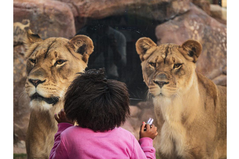 Zoológico de Phoenix: ticket de entrada general de un día