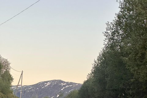 Narvik/Harstad : Excursion d&#039;une journée dans les Fjords avec arrêt à la ferme des rennes