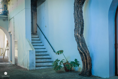 Cádiz: Bodegas Barbadillo Tour & Wine Tasting Cádiz: Bodegas Barbadillo Tour & Wine Tasting in Spanish