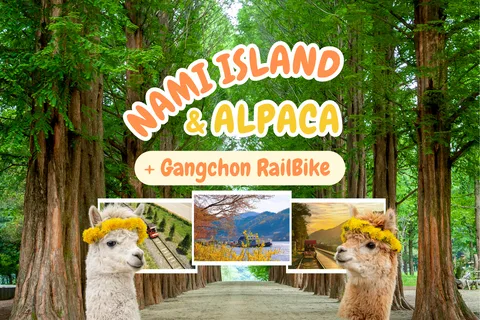 Seoul: Alpaca World & Nami Island (+Gangchon Railbike)