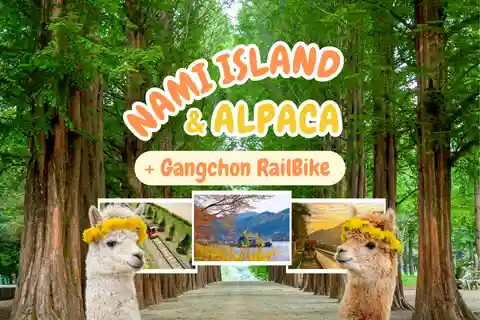 Séoul : Alpaca World & Nami Island (+Gangchon Railbike)