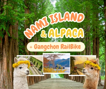 Seúl: El Mundo de la Alpaca y la Isla de Nami (+Gangchon Railbike)